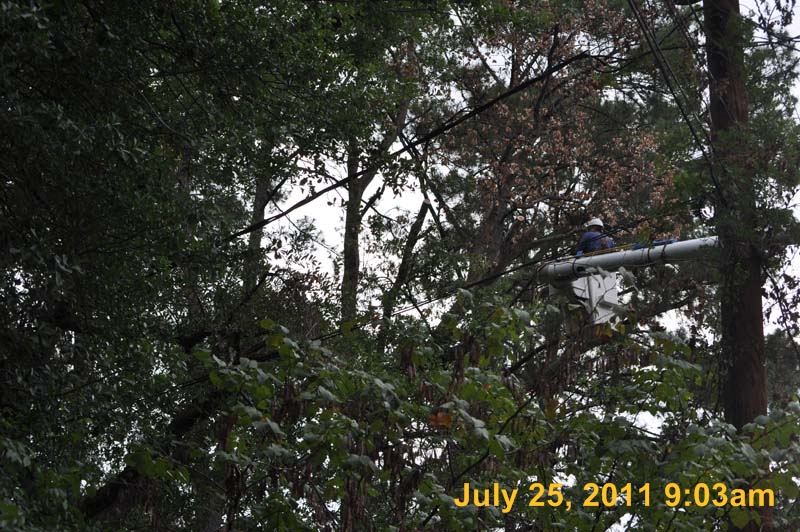 Entergy 029